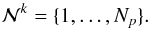\begin{equation} \mathcal N^k = \lbrace 1, \dotsc, N_p \rbrace. \label{eq:set_local_ind} \end{equation}