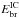 \hbox{$E_{\rm br}^{\rm IC}$}