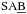 \hbox{$\rm SA\underline{B}$}