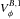 \hbox{$V_\phi^{B,1}$}