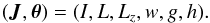 \begin{equation} (\bm{J}, \bm{\theta}) = (I , L , L_{z} , w , g , h) . \label{Delaunay_3D_actions} \end{equation}