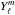 \hbox{$Y_{\ell}^{m}$}
