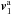 \hbox{$\bm{v}_{1}^{\ra}$}