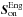 \hbox{$\s^\text{Eng}_\text{on}$}