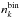 \hbox{$n_k^\text{bin}$}
