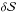 \hbox{$\delta {\cal S}$}
