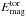 \hbox{$E_{\rm mag}^{\rm tor}$}