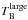 \hbox{$T_\mathrm{B}^\mathrm{large}$}