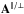 \hbox{$\b{A}^{\parallel/\bot}$}
