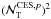 \hbox{$(\N{\mathrm{T}}^{{\rm CES},p})^2$}