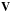 \hbox{$\b{V}$}