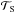 \hbox{$\mathcal{T}_{\rm S}$}