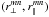 \hbox{$(\rperp^{mn},\rpar^{mn})$}