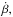 \hbox{$\dot\beta,$}