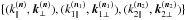 \hbox{$\{(k_{\parallel}^{(\vn)},\vk_{\perp}^{(\vn)}),(k_{1\parallel}^{(\vn_1)},\vk_{1\perp}^{(\vn_1)}),(k_{2\parallel}^{(\vn_2)},\vk_{2\perp}^{(\vn_2)})\}$}