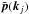 \hbox{$\tilde{\vp}(\vk_j)$}