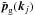 \hbox{$\tilde{\vp}_{\rm g}(\vk_j)$}