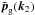 \hbox{$\tilde\vp_{\rm g}(\vk_2)$}