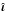 \hbox{$\hat{\boldsymbol\iota}$}
