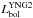 \hbox{$L_\mathrm{bol}^\mathrm{YNG2}$}