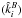 \hbox{$(\hat k_i^B)$}