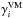 \hbox{$\gamma^{\rm VM}_{i}$}