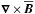 \hbox{$\nab\times\meanBB$}