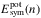 \hbox{$E^{\rm pot}_{\rm sym}(n)$}
