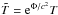 \hbox{$\tilde{T}=\ee^{\Phi/c^2}T$}