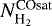 $N_{{\textrm{H}_2}}^{\textrm{COsat}}$