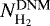 $N_{{\textrm{H}_2}}^{\textrm{DNM}}$