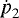 $\dot{\textit{p}}_2$
