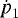 $\dot{\textit{p}}_1$