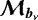 ${{\bm{\mathcal{M}}_{{{{\vec{b}_{\nu}}}}}}}$
