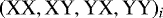 $(\textrm{XX}, \textrm{XY}, \textrm{YX}, \textrm{YY})_i$