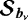 ${\bm{\mathcal{S}}_{{{{\vec{b}_{\nu}}}}}}$