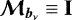 ${{\bm{\mathcal{M}}_{{{{\vec{b}_{\nu}}}}}}}\equiv\bm{\mathrm{I}}$
