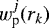 $w_{\textrm{p}}^j(r_k)$