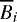 $\overline{B}_i$