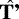 ${\hat{\textbf{{T&#x0027;}}}}$