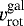 $v_{\textrm{rot}}^{\textrm{gal}}$