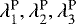 $\lambda_1^{\text{P}},\lambda_2^{\text{P}},\lambda_3^{\text{P}}$