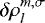 $ \delta \rho_l^{m,\sigma} $