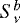 $S^{b}_{\nu} $