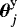 $\boldsymbol{\theta}_j^{\textrm{y}}$