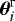$\boldsymbol{\theta}^{\textrm{r}}_i$
