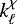 $k_{\ell}^{\chi}$
