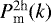$P^{2\textrm{h}}_{\textrm{m}}(k)$