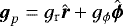 $\boldsymbol{g}_{p}=g_{\textrm{r}} \hat{\boldsymbol{r}} &#x002B;g_{\phi} \hat{\boldsymbol{\phi}}$