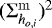 $(\mathrm{\Sigma}_{ h_{o,i}}^{\mathrm{m}})^2$
